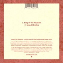 Kate Bush - okadka singla [wydanie brytyjskie w kartoniku - ty] 'King of the Mountain'