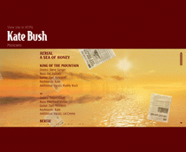 Nazwiska muzykw, grajcych w poszczeglnych piosenkach, na albumie 'Aerial'... Szczegy znajduj si na Oficjalnej Stronie Kate Bush...