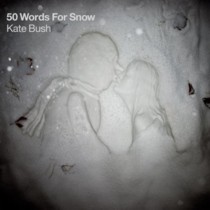 Okadka '50 WORDS FOR SNOW'... 
